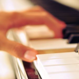 麻豆免费网站在线观看。
