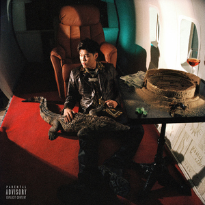 麻豆免费网站在线观看。
