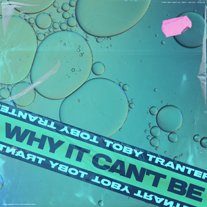 麻豆免费网站在线观看。
