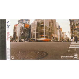 麻豆免费网站在线观看。
